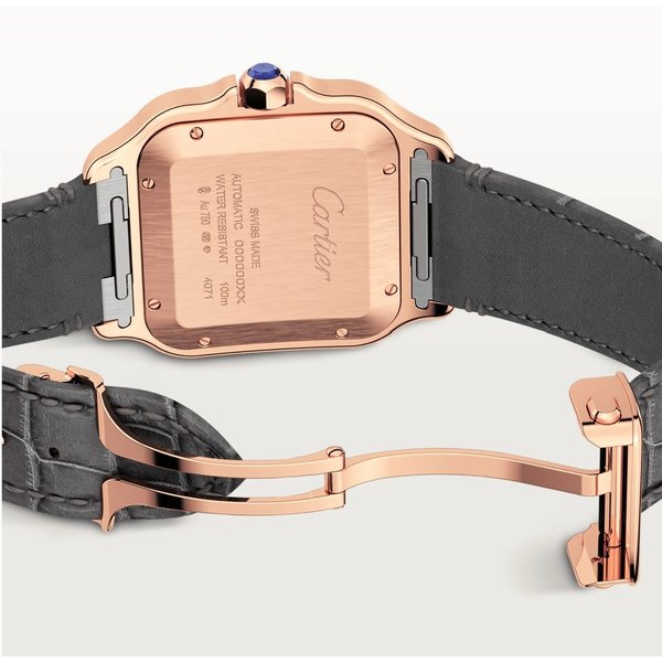 CARTIER Santos de Cartier watch