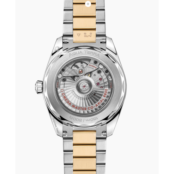 OMEGA Seamaster Aqua Terra Shades 38mm