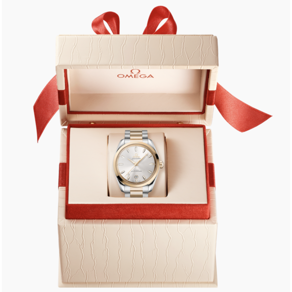 OMEGA Seamaster Aqua Terra Shades 38mm
