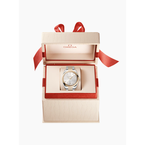OMEGA Seamaster Aqua Terra Shades 38mm