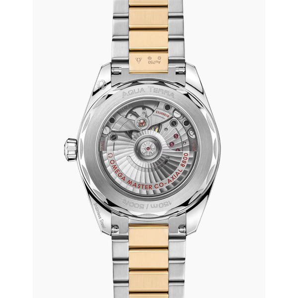 OMEGA Seamaster Aqua Terra Shades 38mm