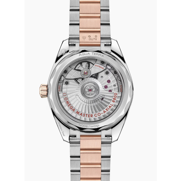 OMEGA Seamaster Aqua Terra Shades 34mm