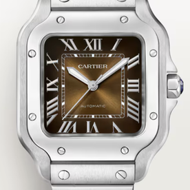 CARTIER Santos De Cartier