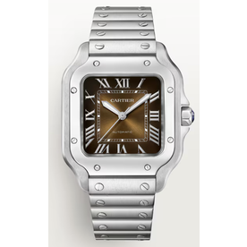 CARTIER Santos De Cartier
