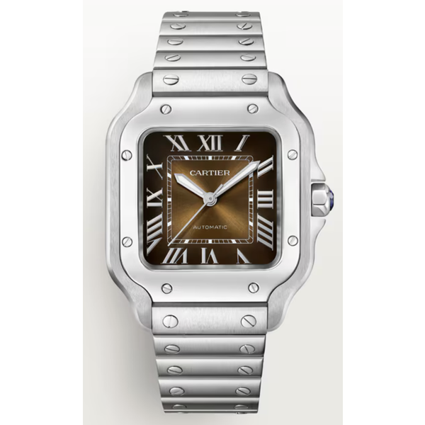 CARTIER Santos De Cartier