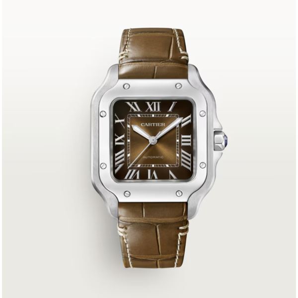CARTIER Santos De Cartier