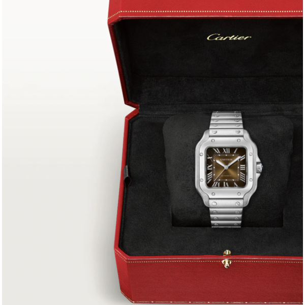CARTIER Santos De Cartier