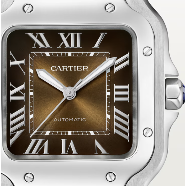 CARTIER Santos De Cartier