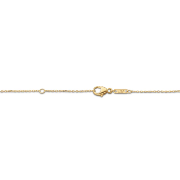 MONICA RICH KOSANN 18kt Yellow Gold Slim Britt Gold Locket Necklace