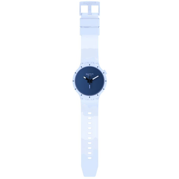 SWATCH LOST IN THE ARCTIC