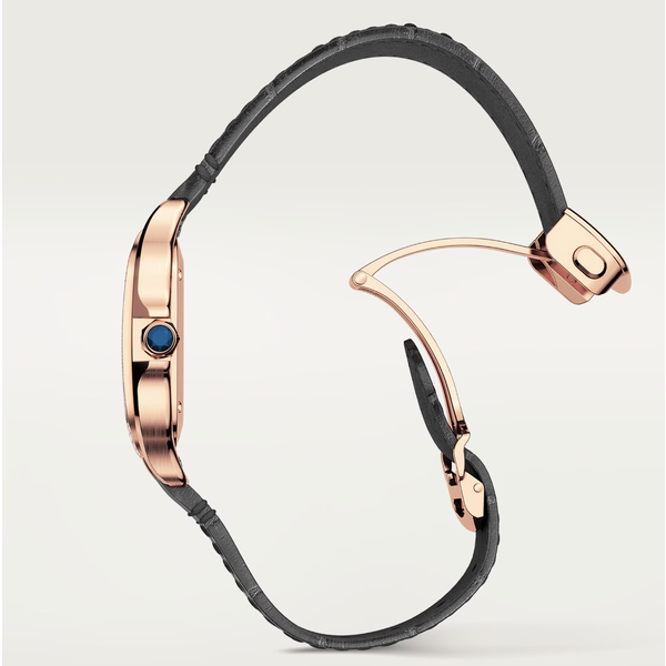 CARTIER Santos de Cartier watch