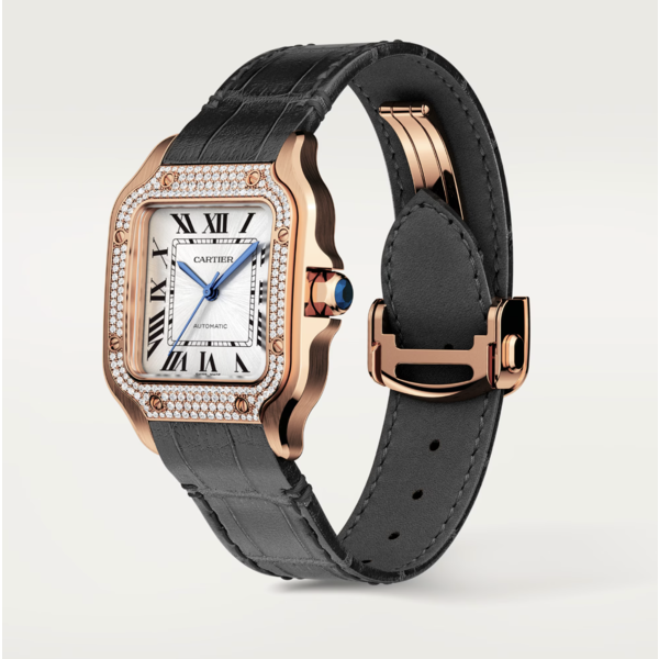CARTIER Santos de Cartier watch