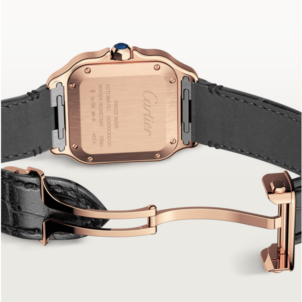 CARTIER Santos de Cartier watch
