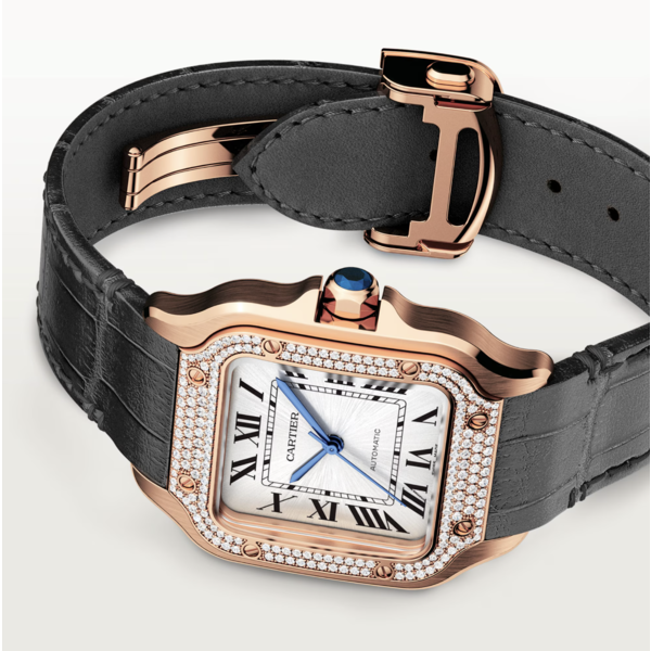 CARTIER Santos de Cartier watch