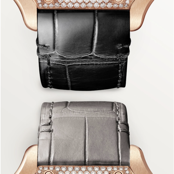 CARTIER Santos de Cartier watch