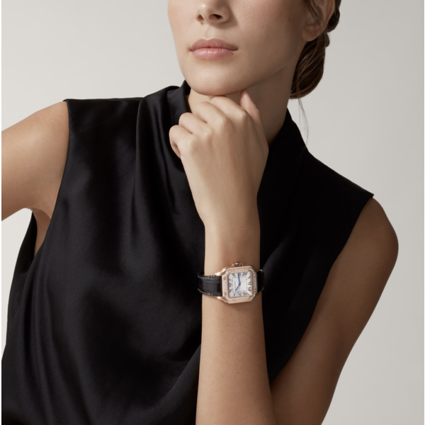 CARTIER Santos de Cartier watch