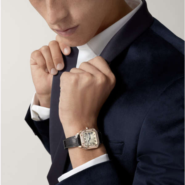 CARTIER Santos de Cartier watch
