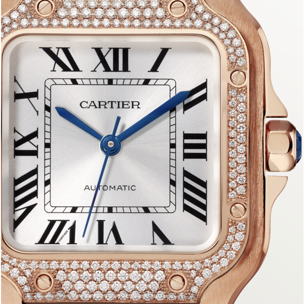 CARTIER Santos de Cartier watch