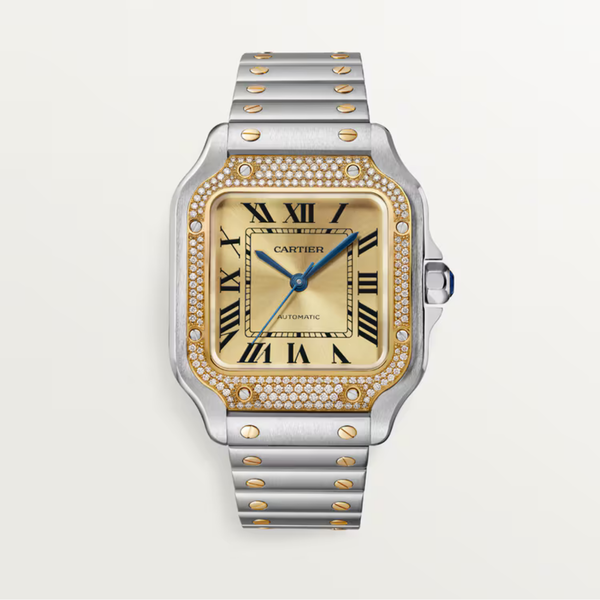 CARTIER Santos de Cartier watch