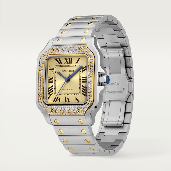 CARTIER Santos de Cartier watch