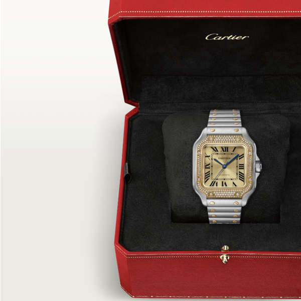 CARTIER Santos de Cartier watch