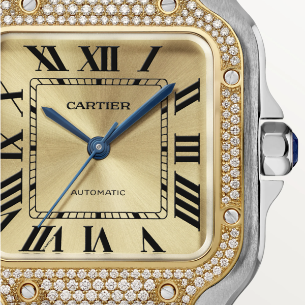 CARTIER Santos de Cartier watch