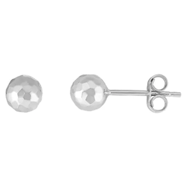 14kt White Gold 5mm Stud Earrings