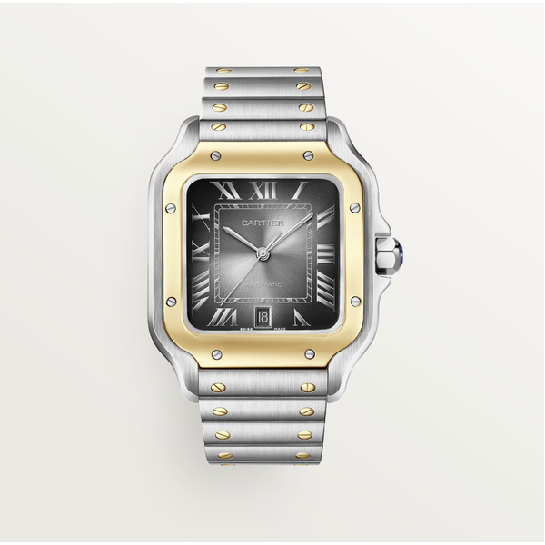 CARTIER Santos de Cartier watch