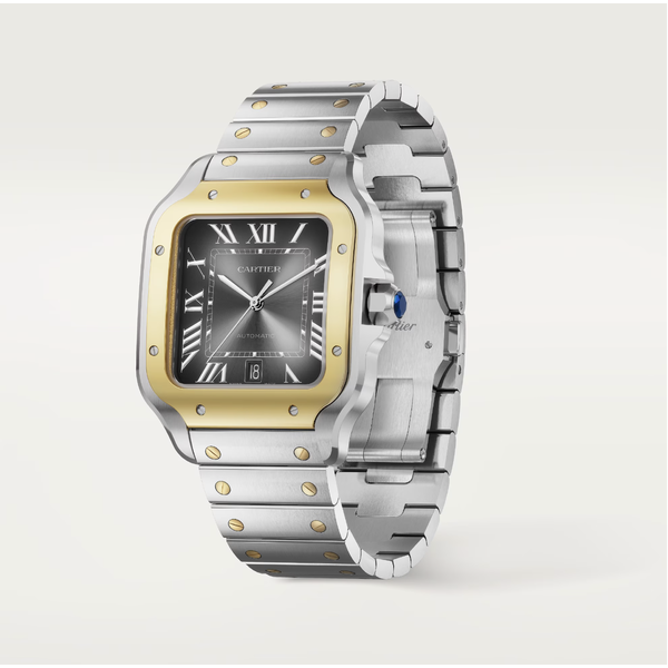 CARTIER Santos de Cartier watch