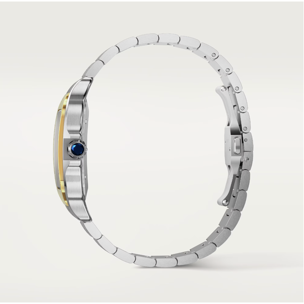 CARTIER Santos de Cartier watch