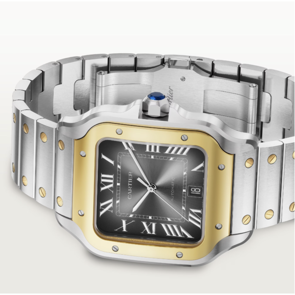 CARTIER Santos de Cartier watch