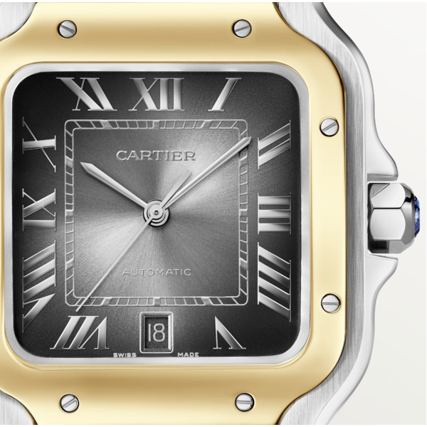 CARTIER Santos de Cartier watch
