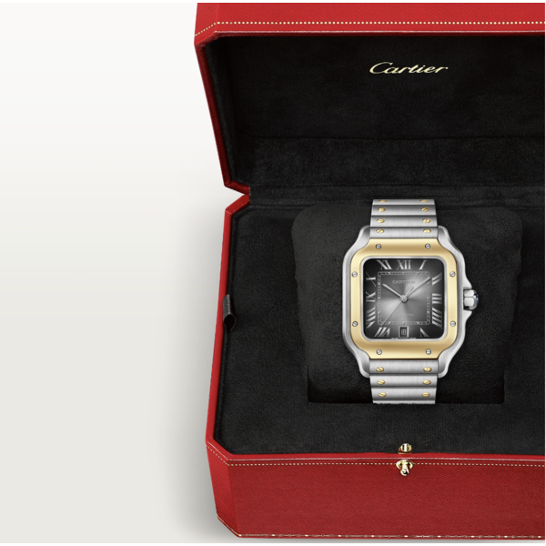 CARTIER Santos de Cartier watch