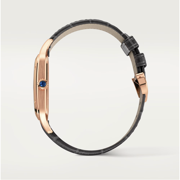 CARTIER Santos-Dumont watch