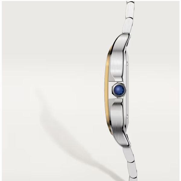 CARTIER Santos de Cartier watch