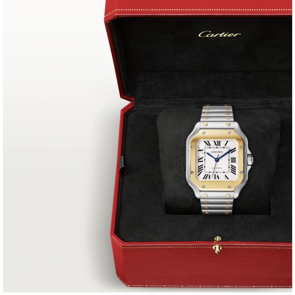 CARTIER Santos de Cartier watch