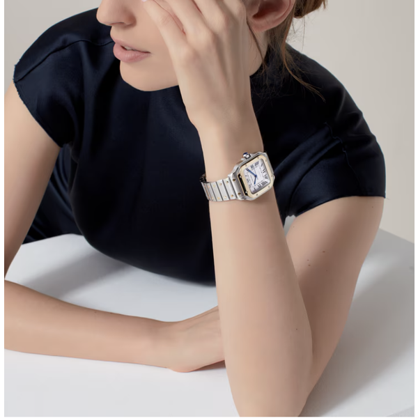 CARTIER Santos de Cartier watch