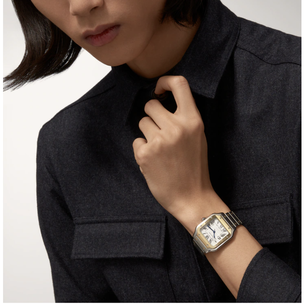 CARTIER Santos de Cartier watch