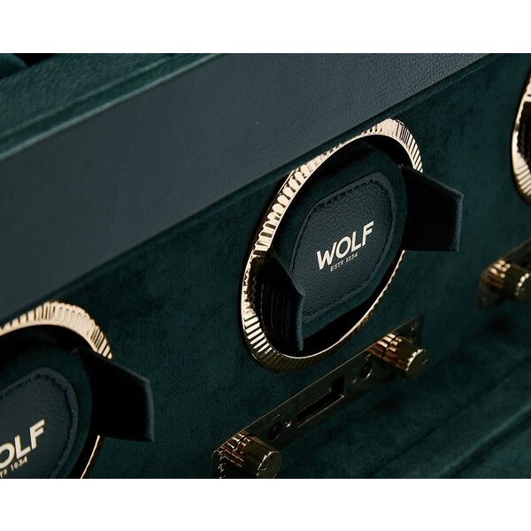 WOLF DESIGNS British Racing Triple Watch Winder with Storage