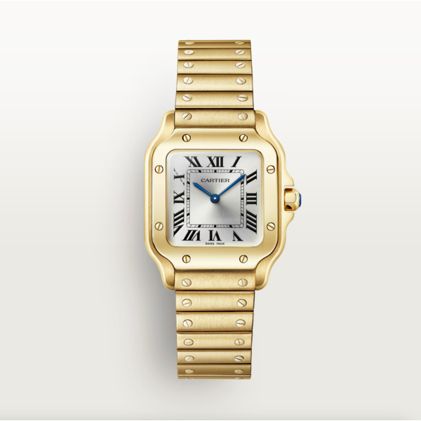 CARTIER Santos de Cartier watch
