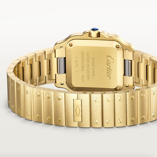 CARTIER Santos de Cartier watch