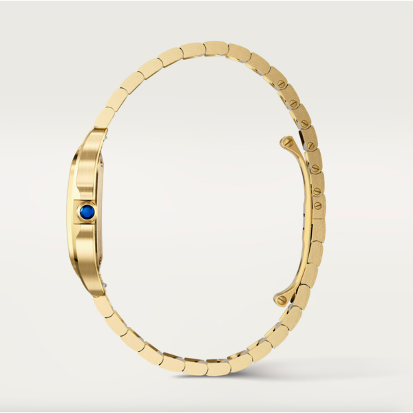 CARTIER Santos de Cartier watch
