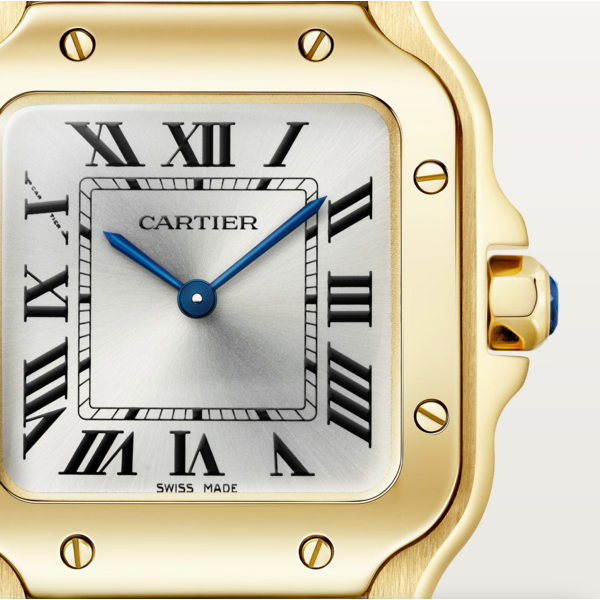 CARTIER Santos de Cartier watch