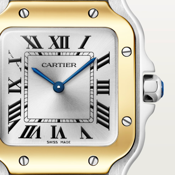CARTIER Santos de Cartier watch