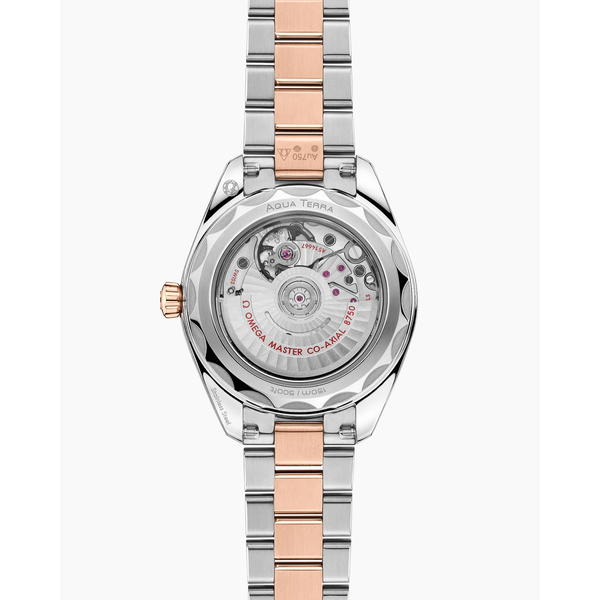 OMEGA 18kr Sedna gold Aqua Terra 30 mm