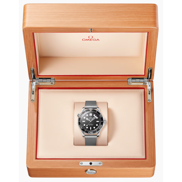 OMEGA Sea Master DIVER 300 SS