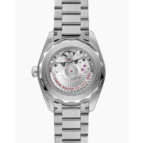 OMEGA Seamaster Railmaster 38 mm