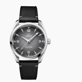 OMEGA Seamaster Railmaster