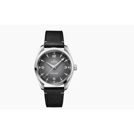 OMEGA Seamaster Railmaster