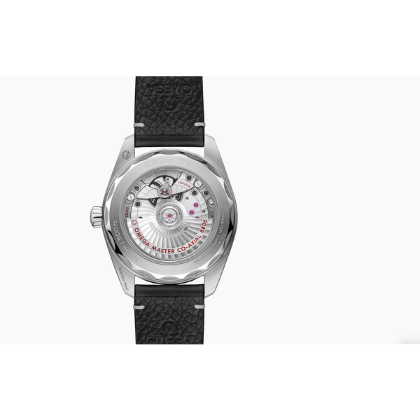 OMEGA Seamaster Railmaster